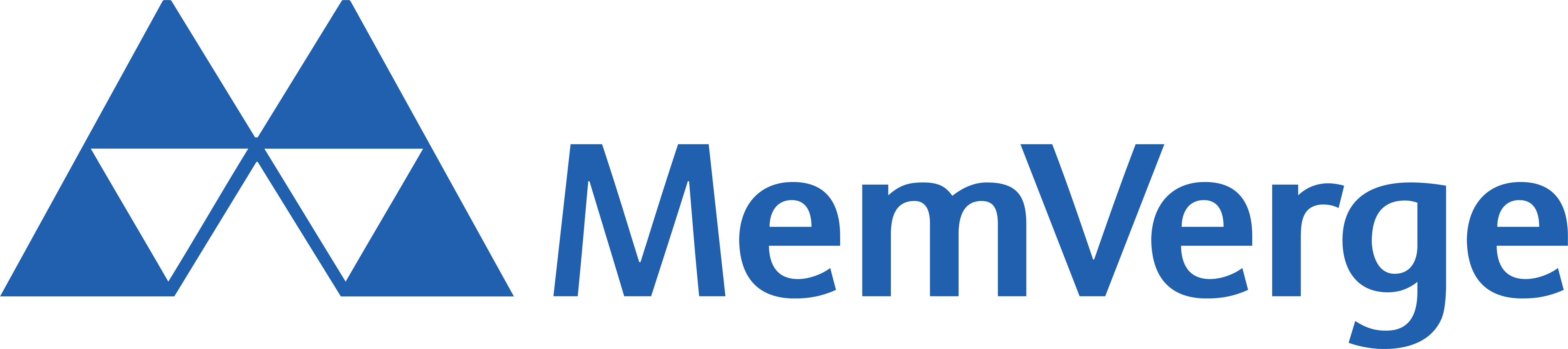 MemVerge