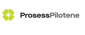 Prosesspilotene