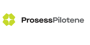 Prosesspilotene