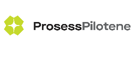 Prosesspilotene