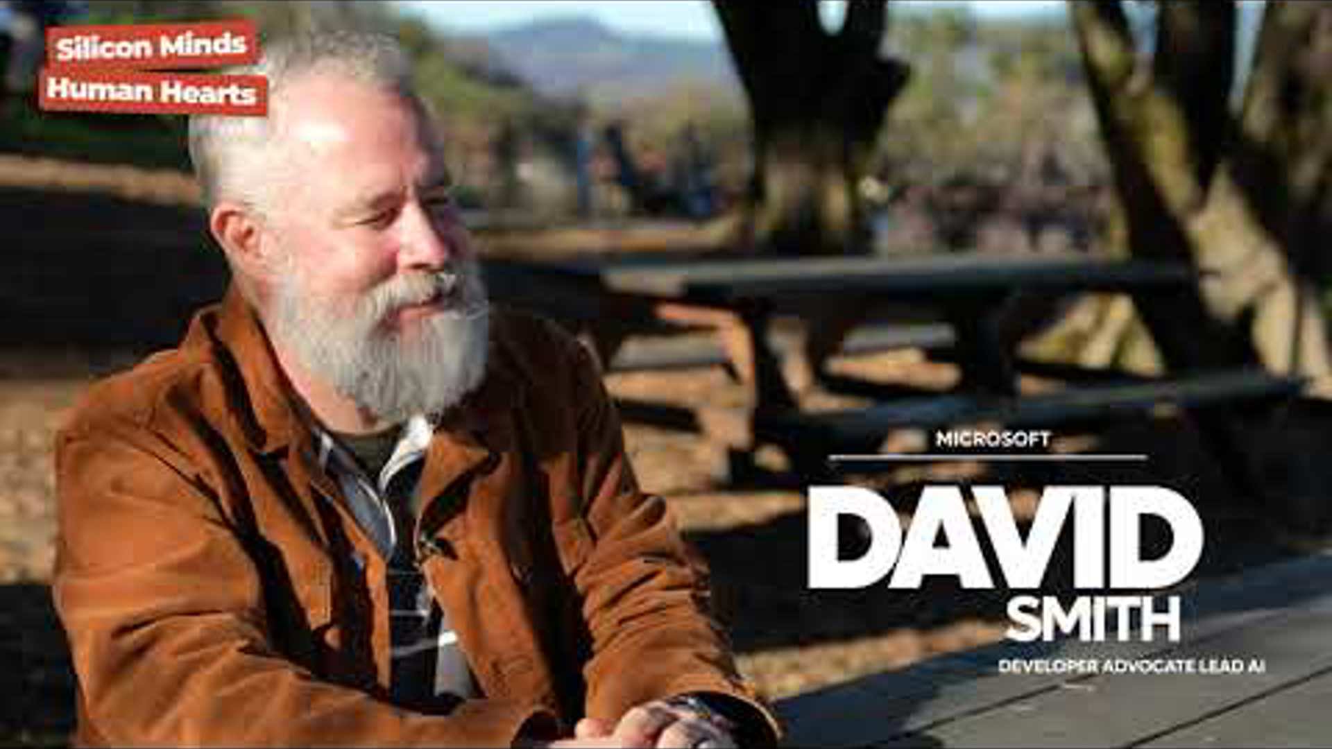 David Smith - Silicon Minds, Humans Hearts