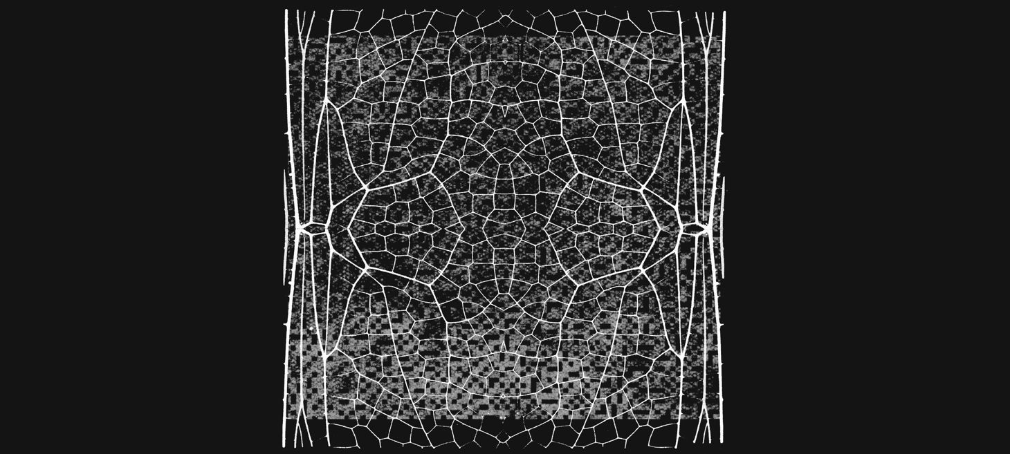 Expanding Project Glasswing