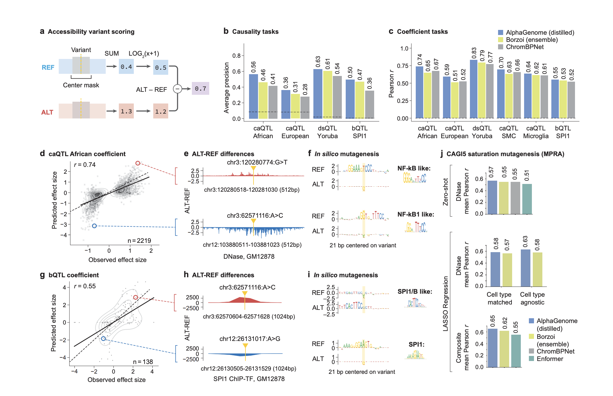 AlphaGenome: A Deep Learning Model that can more Comprehensively Predict the Impact of Single Variants or Mutations in DNA