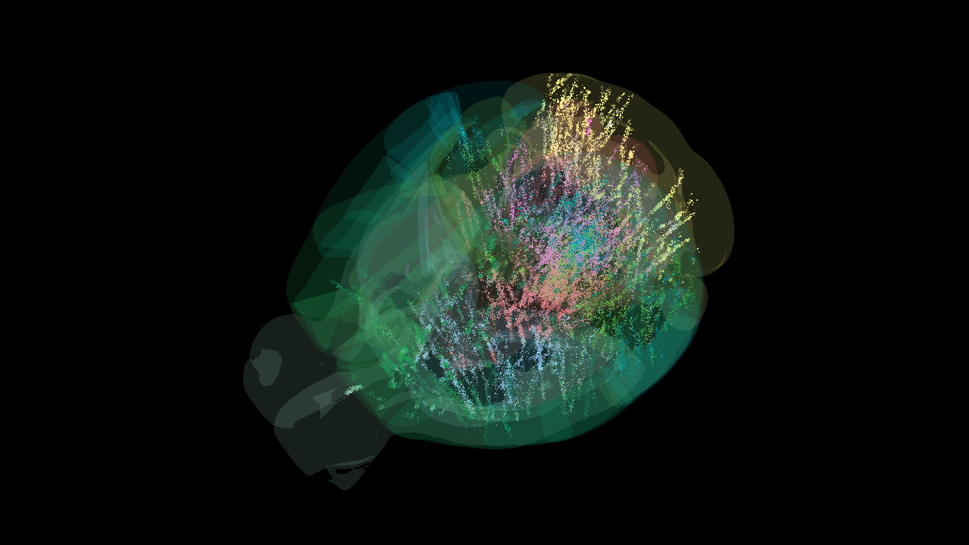 Map of 600,000 brain cells rewrites the textbook on how the brain makes decisions