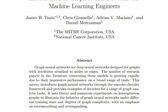 Introduction to Graph Neural Networks for Machine Learning Engineers