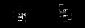 VES