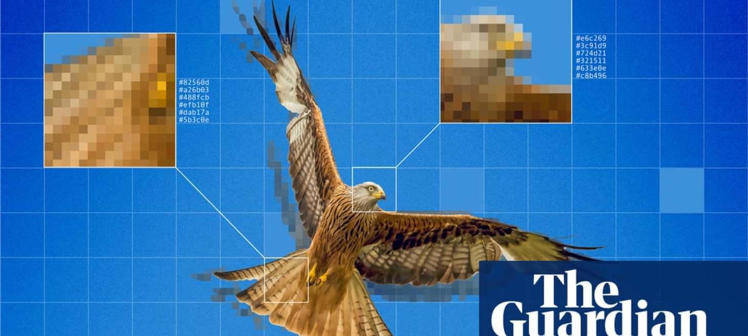 Hidden traces of humanity: what AI images reveal about our world