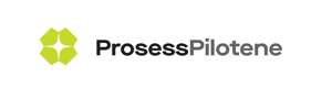 Prosesspilotene
