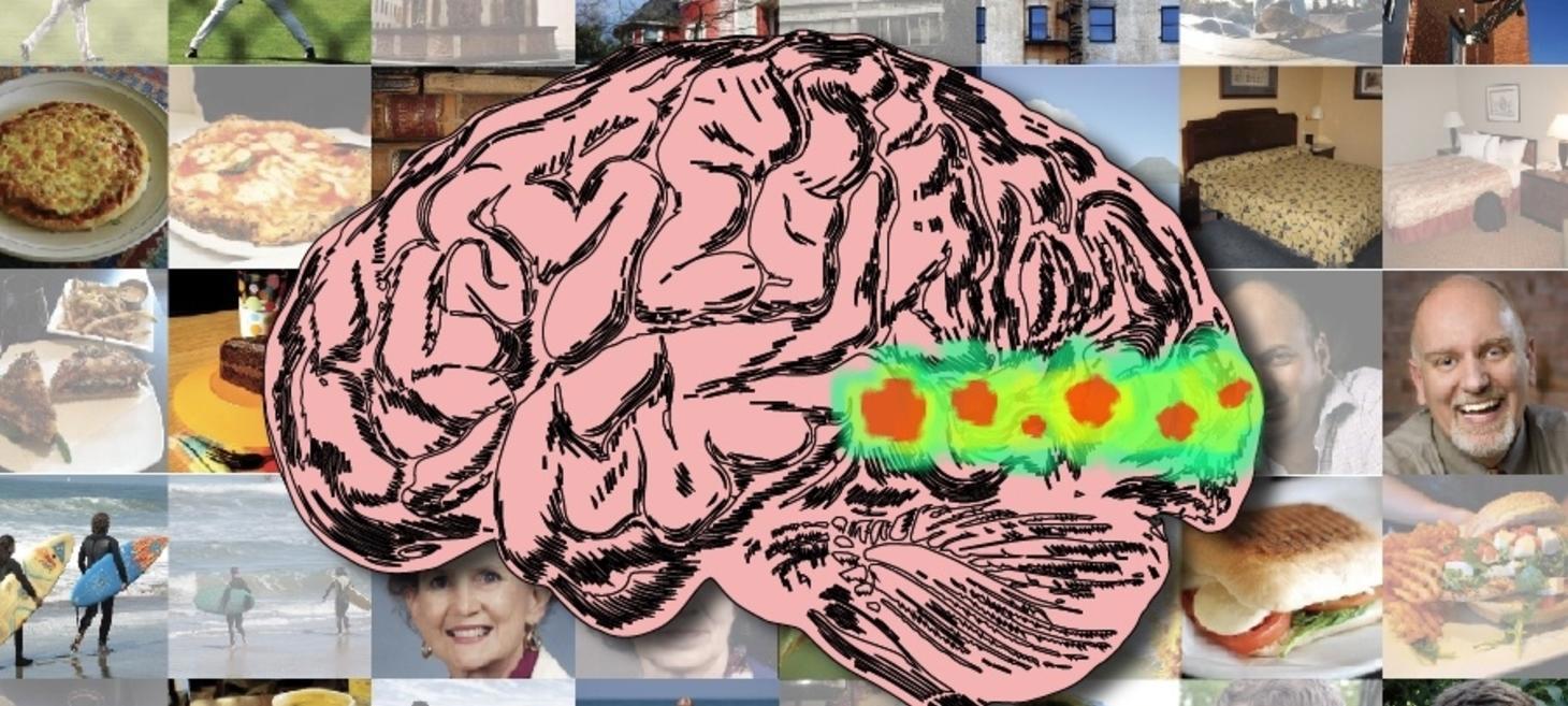 Mapping the brain pathways of visual memorability