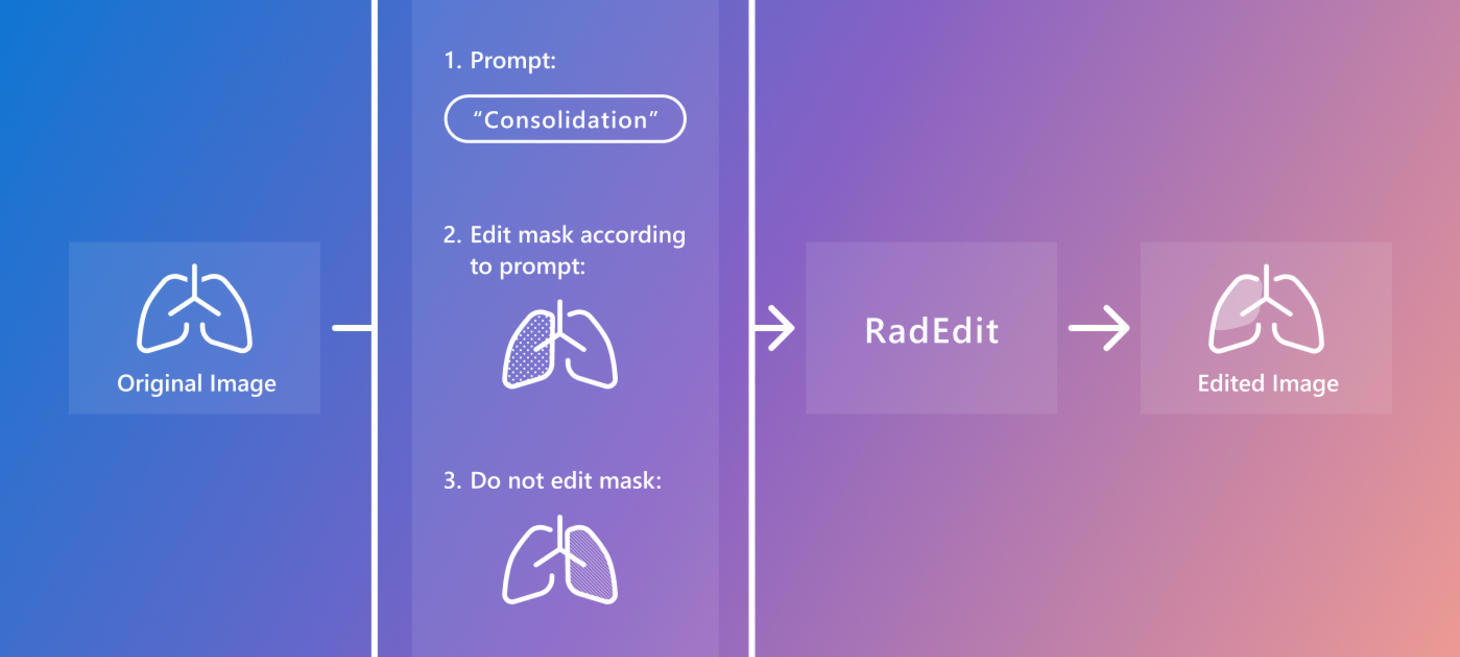 Stress-testing biomedical vision models with RadEdit: A synthetic data approach for robust model deployment